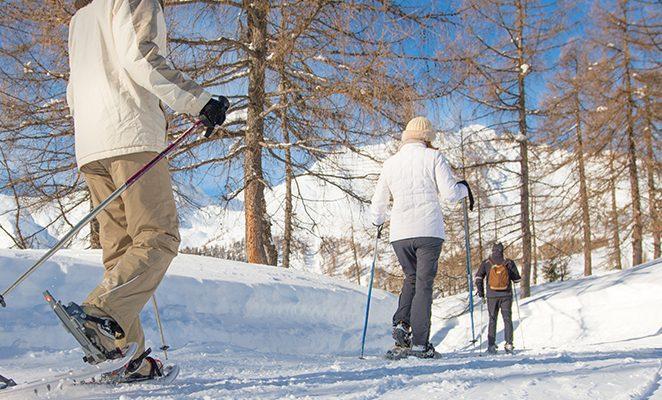 walk in the snow quadrata